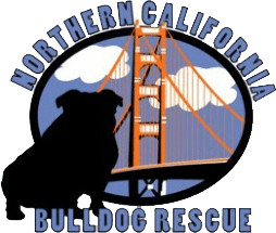 Northern California Bulldog Rescue Logo