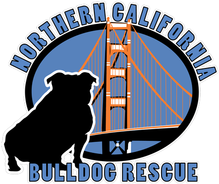 NorCal English Bulldog Rescue