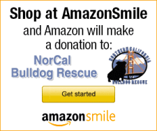 Amazon Smile Northern California Bulldog Rescue