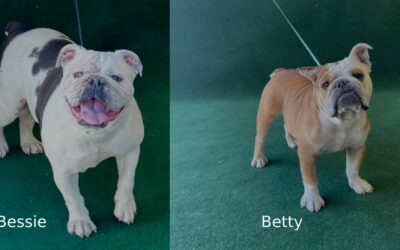 Bessie and Betty